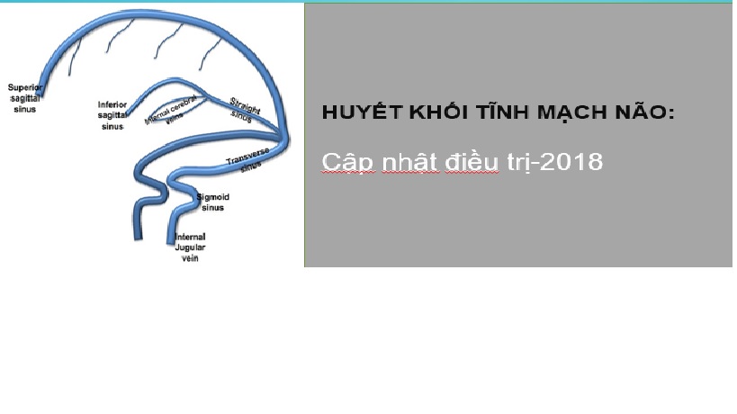 Phòng ngừa và đề phòng huyết khối xoang tĩnh mạch não như thế nào?
